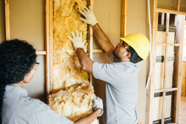 Eco-Friendly or Green Insulation Solutions in Rose Hill, KS